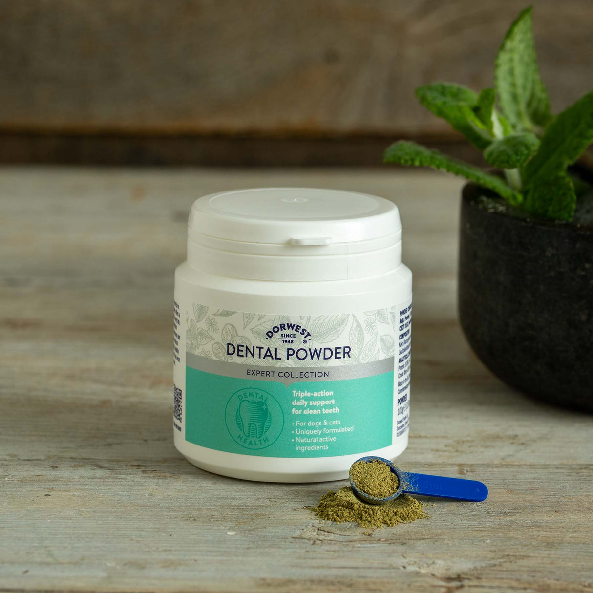 Dental Powder for Dogs & Cats