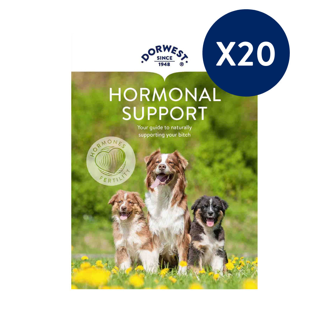 Hormonal Support Leaflets - 20 Pack