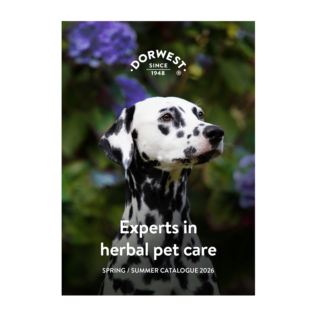 Spring / Summer catalogue