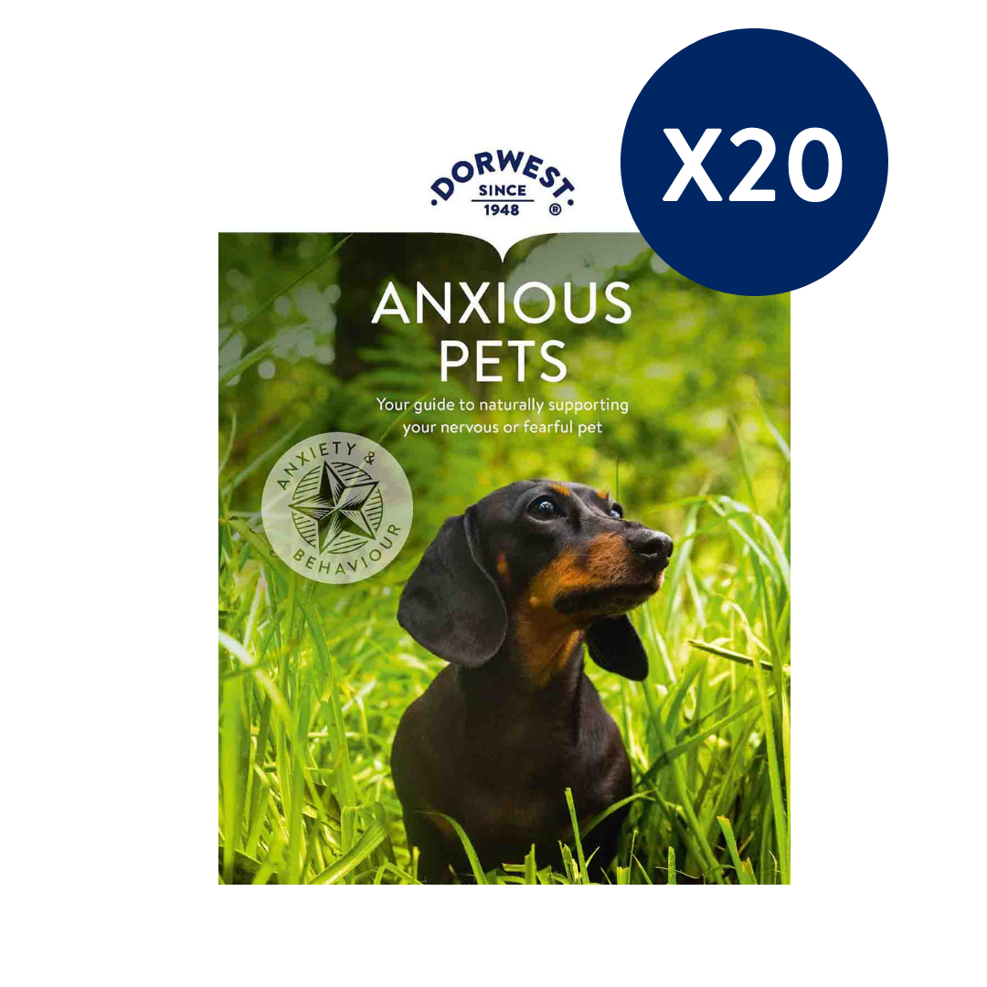 Anxiety Pets Leaflets - 20 Pack