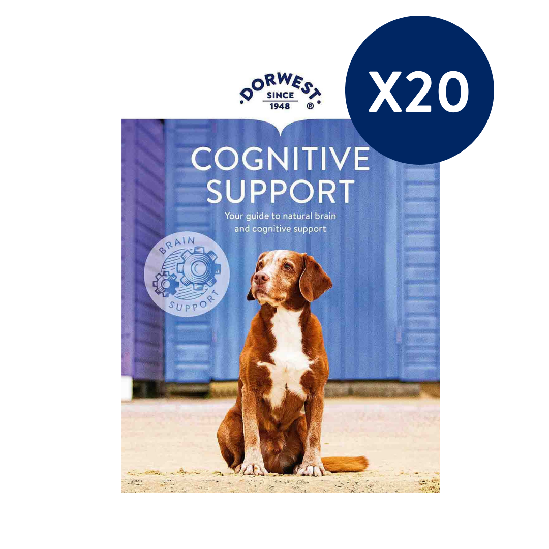 Cognitive Support Leaflets - 20 Pack