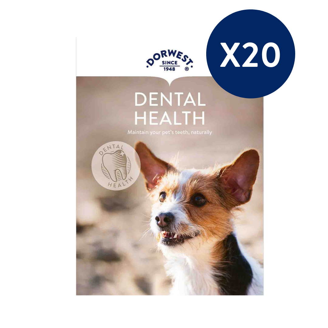 Dental Health Leaflets - 20 Pack