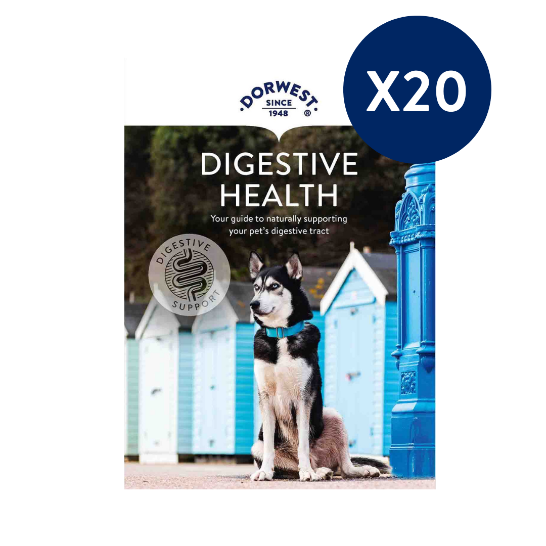 Digestive Health Leaflets - 20 Pack