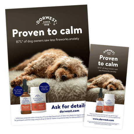 Proven to Calm - Trade Product Pack