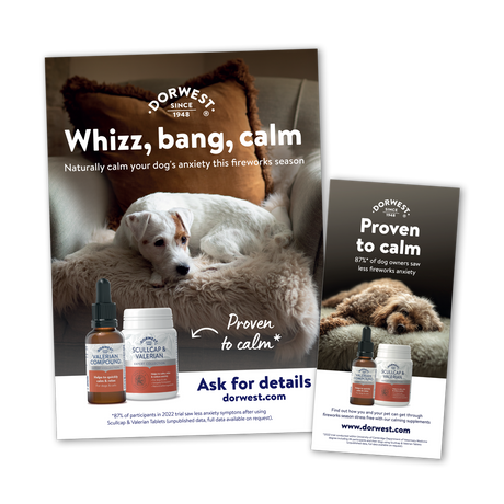 Proven to Calm - Trade Product Pack