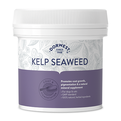 Kelp Seaweed Powder For Dogs And Cats