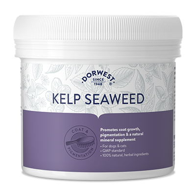 Kelp Seaweed Powder For Dogs And Cats