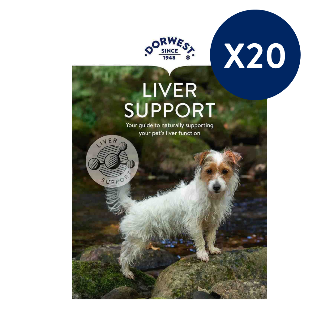 Liver Support Leaflets - 20 Pack