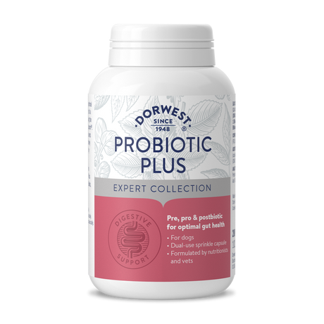 Probiotic Plus for Dogs