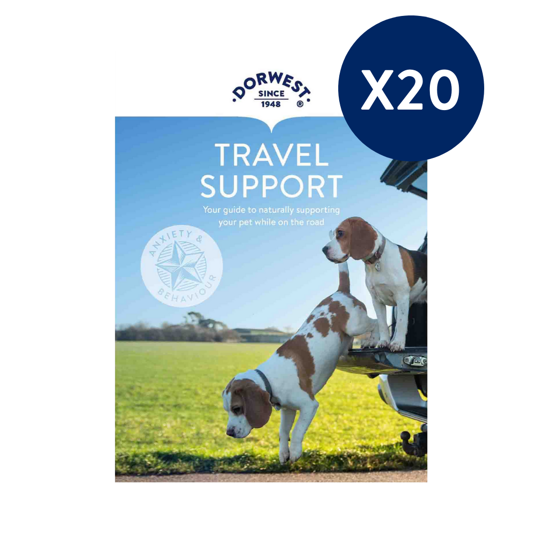 Travel Support Leaflets - 20 Pack